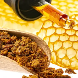Extrato-de-Propolis.webp